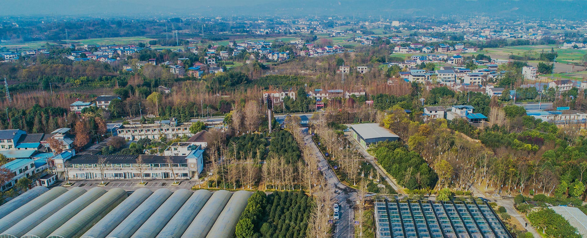 蔬菜品種育苗、示范推廣、基地種植、農(nóng)產(chǎn)品生產(chǎn)、加工 、銷(xiāo)售